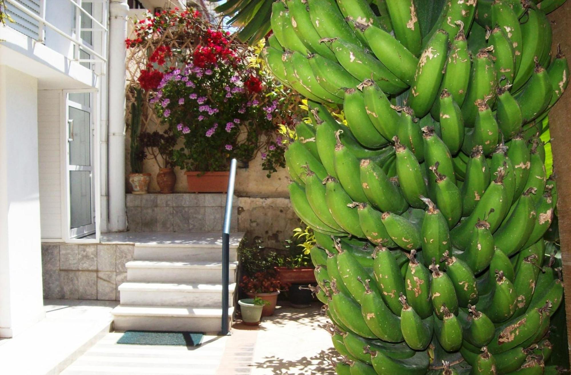 Diana Rooms La Canea Exterior foto